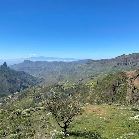 Koka Amber - Playa Del Ingles San Bartolome de Tirajana (Gran Canaria)