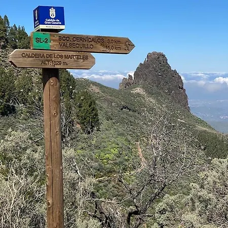 Koka Amber - Playa Del Ingles * San Bartolome de Tirajana (Gran Canaria)